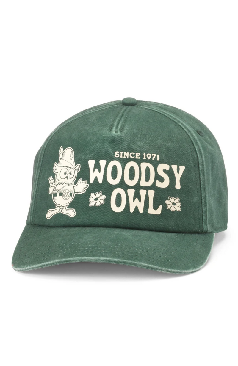 American Needle - Walker Hat - Woodsy Owl
