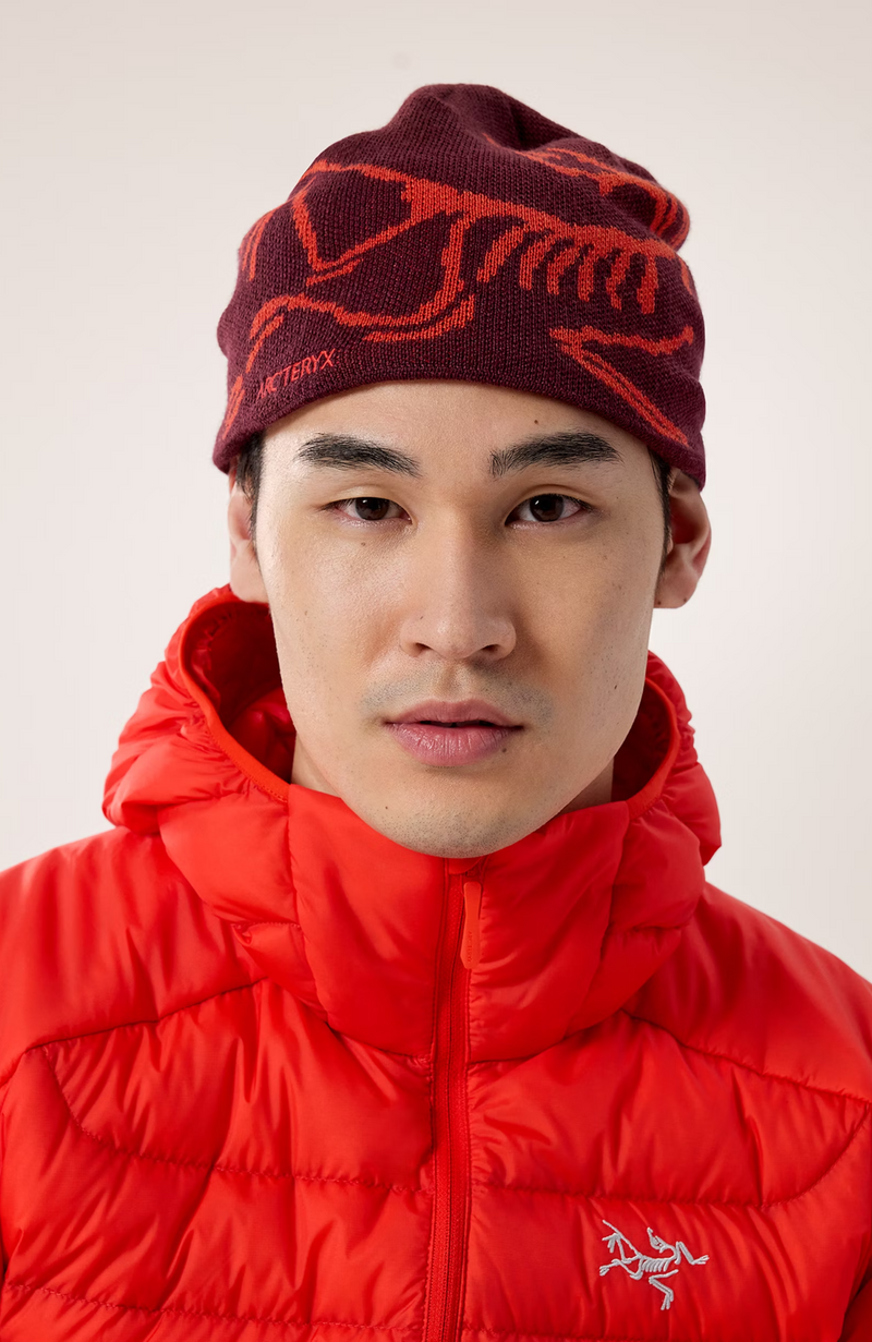 Arc'teryx - Bird Head Toque
