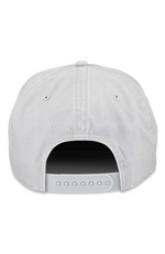 American Needle - Walker Diet Coke Hat