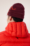 Arc'teryx - Bird Head Toque