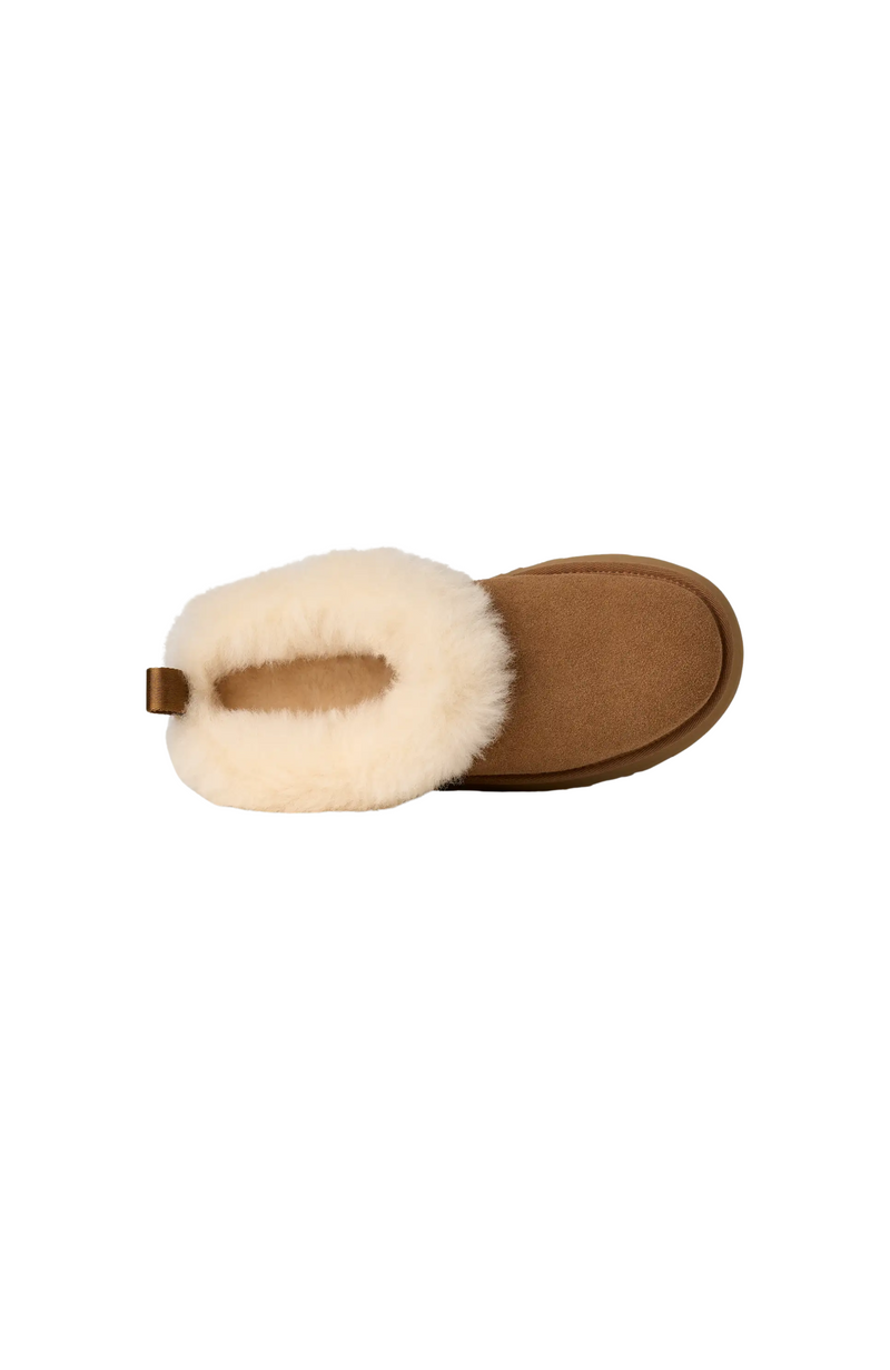 UGG - Women's Tazzelle