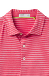 Tasc - Cloud Polo - Brookline Stripe