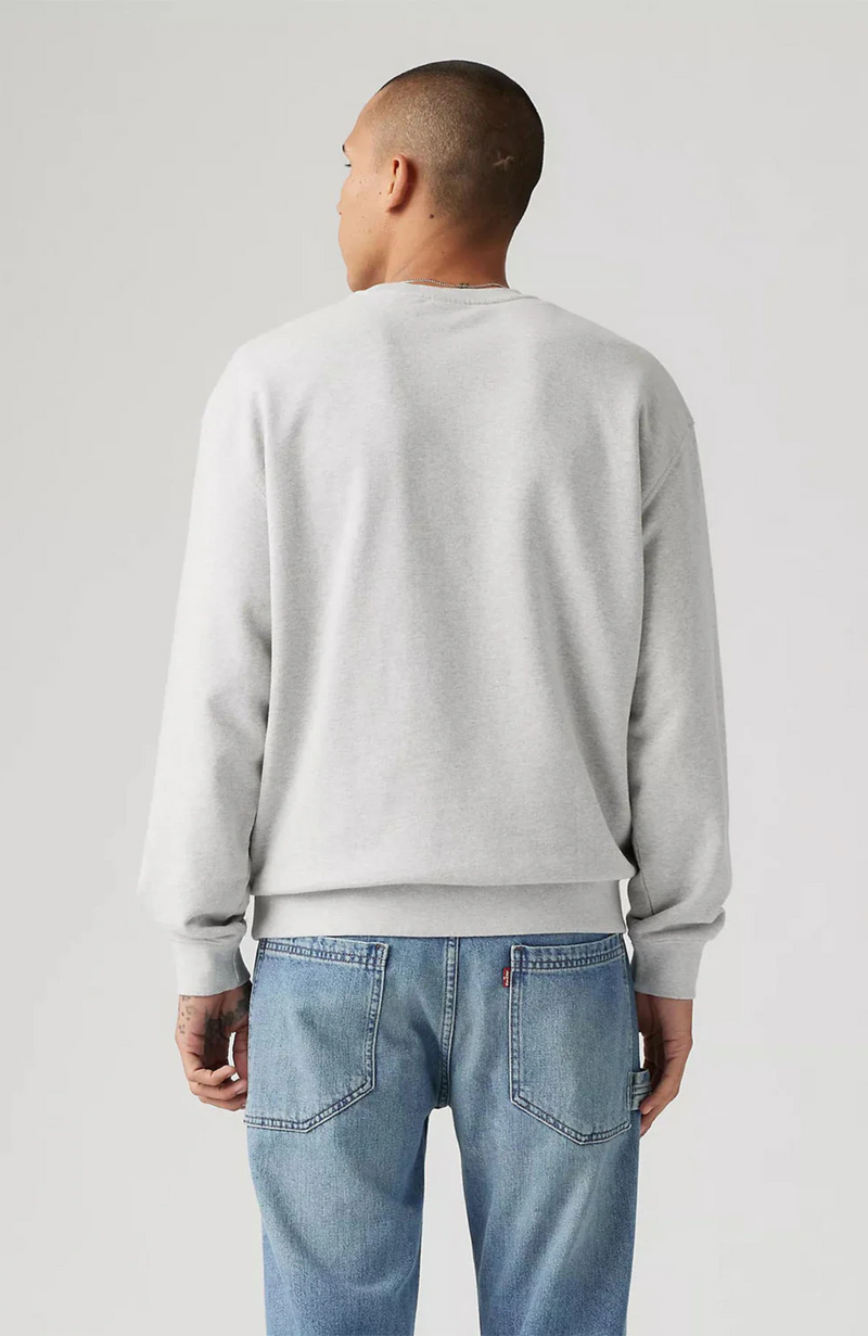 Levi's Premium - Relaxed Graphic Crew Gym Boxtab