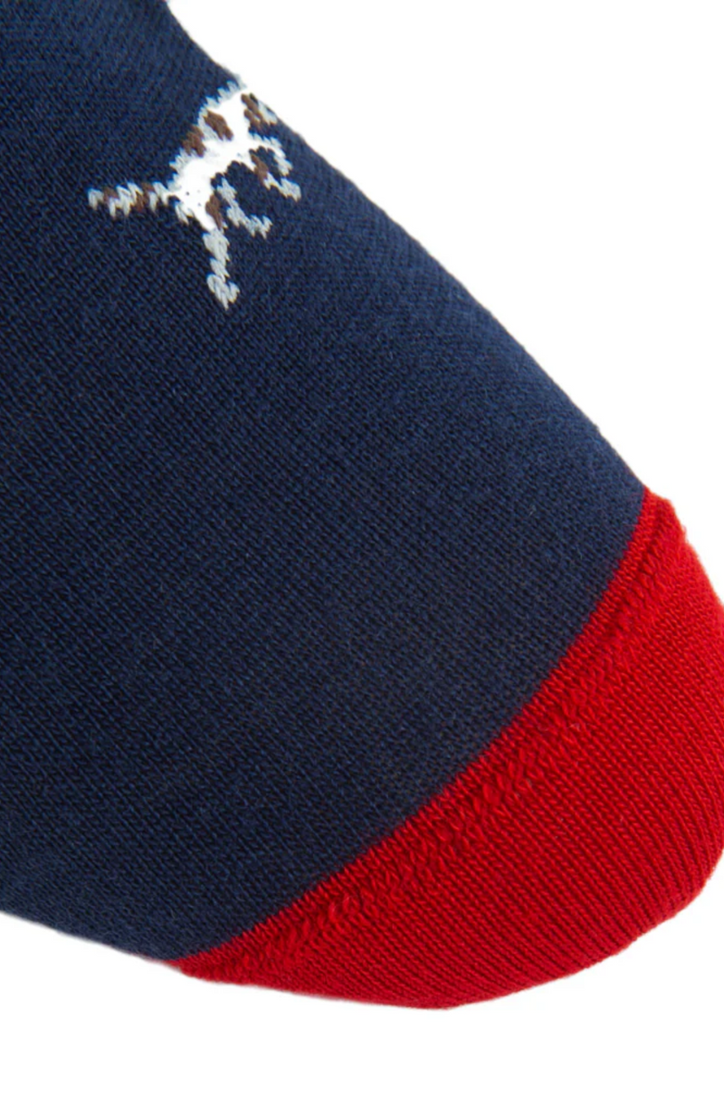 Dapper Classics - Navy Bird Dog Red Tipping