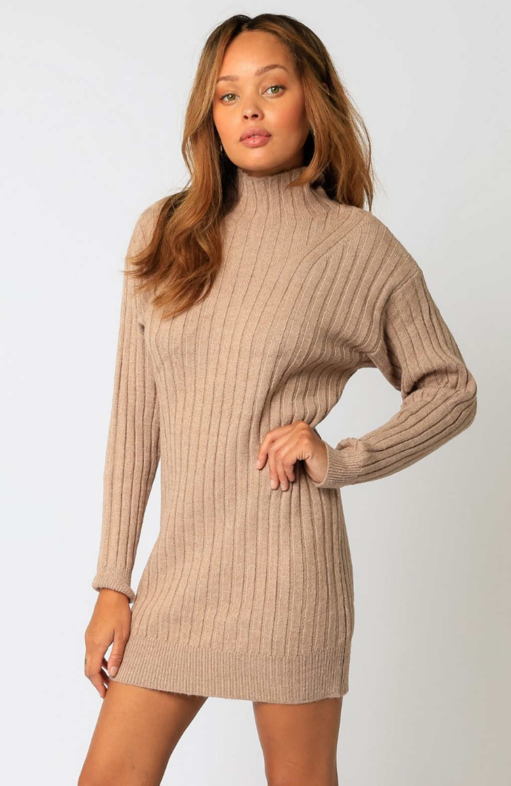 Wide Ribbed Sweater Dress