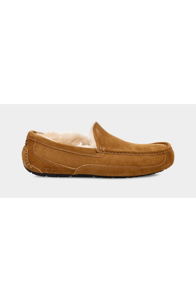 UGG®  - Men's Ascot Slipper