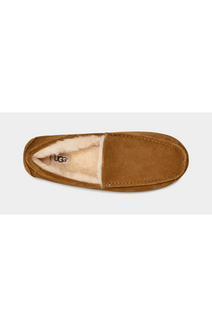 UGG®  - Men's Ascot Slipper